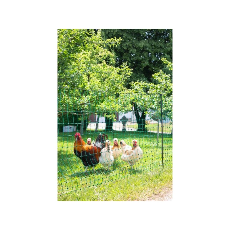 KERBL Filet pour les poules 25 m - 106 cm - double pointe - vert - non électrique KERBL Filet pour les poules 25 m - 106 cm - double pointe - vert - non électrique